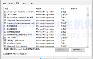 DNS 客户端选项