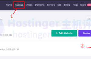 Hostinger主机托管计划详细信息